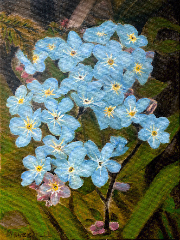 An original oil painting of a cluster of light blue forget-me-not flowers with yellow centers and pink buds, set against a dark green and brown leafy background, by Martin Buckwell