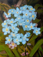 An original oil painting of a cluster of light blue forget-me-not flowers with yellow centers and pink buds, set against a dark green and brown leafy background, by Martin Buckwell