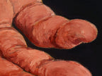 A close up detail of the Give to Receive hand, a contemporary realism oil painting study of the human hand. 