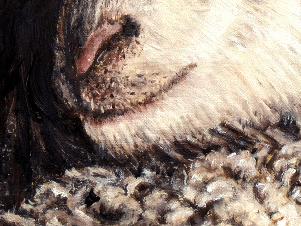 A close up detail of an Original oil painting of Jesus with the lost sheep, 50 × 60 cm on linen-treated canvas by Martin Buckwell.