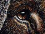 A close-up detail of the original Lion of Judah oil painting by Martin Buckwell.