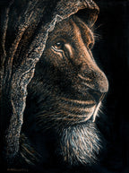 Original oil painting of the Lion of Judah, 30 × 40 cm on linen-treated canvas by Martin Buckwell.