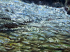 A detail of an original oil painting of my daughter filling a bottle of water from a waterfall in the mountains, in Bulgaria by Martin Buckwell