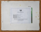 A picture of the back of Tree Blossom canvas board with sticker and title by Martin Buckwell