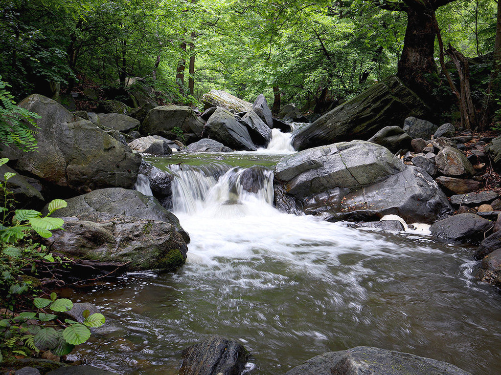 My photograph reference for my painting of The secret waterfall by Martin Buckwell