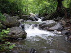 My photograph reference for my painting of The secret waterfall by Martin Buckwell